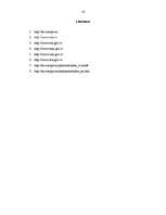 Referāts 'European Union Small and Medium Enterprises Policy', 16.