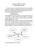 Diplomdarbs 'SIA "Dzeta mode" iekšējās un ārējās vides ietekme uz uzņēmuma darbību un tās ana', 29.