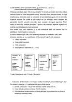 Diplomdarbs 'SIA "Dzeta mode" iekšējās un ārējās vides ietekme uz uzņēmuma darbību un tās ana', 31.
