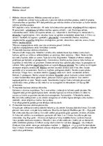 Konspekts 'Mākslas vēstures eksāmena biļešu atbildes', 1.