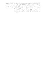 Konspekts 'Meteņi', 6.