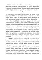 Referāts 'Personības izpēte', 9.