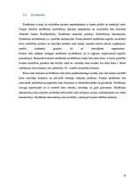 Referāts 'Banku darbība', 12.