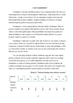 Referāts 'Planšetdatoru izmantošana sākumskolas izglītībā', 5.