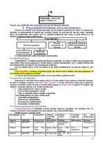 Konspekts 'Informācijas tehnoloģijas pamatjēdzieni', 13.