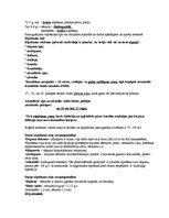 Konspekts 'Elpošana', 2.