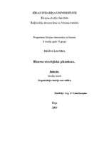 Referāts 'Biznesa stratēģiskā plānošana', 1.