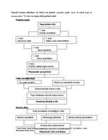 Referāts 'Biznesa stratēģiskā plānošana', 3.