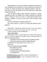 Referāts 'Biznesa stratēģiskā plānošana', 5.