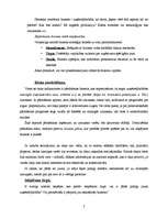 Referāts 'Biznesa stratēģiskā plānošana', 7.