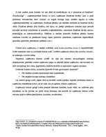 Referāts 'Biznesa stratēģiskā plānošana', 8.