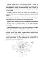 Diplomdarbs 'Sociālā pedagoga preventīvais darbs pusaudžu datoratkarības mazināšanā', 23.