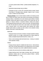 Diplomdarbs 'Sociālā pedagoga preventīvais darbs pusaudžu datoratkarības mazināšanā', 30.