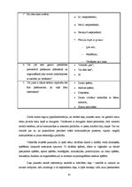 Diplomdarbs 'Sociālā pedagoga preventīvais darbs pusaudžu datoratkarības mazināšanā', 41.