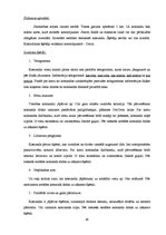 Diplomdarbs 'Sociālā pedagoga preventīvais darbs pusaudžu datoratkarības mazināšanā', 80.