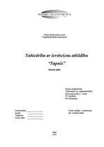 Biznesa plāns 'SIA "Sapnis"', 1.