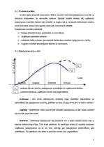 Biznesa plāns 'SIA "Sapnis"', 8.
