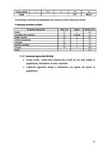 Biznesa plāns 'SIA "Sapnis"', 16.