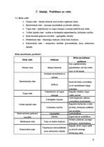 Biznesa plāns 'SIA "Sapnis"', 19.