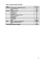 Biznesa plāns 'SIA "Sapnis"', 24.