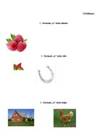 Prezentācija 'Bērna runas un valodas izpēte pirmsskolas vecumā', 11.