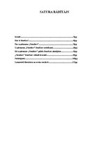 Referāts 'Franšīze', 2.