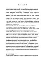 Referāts 'Franšīze', 4.