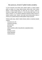 Referāts 'Franšīze', 8.