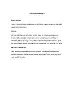 Konspekts 'Baroks Rīgā', 4.