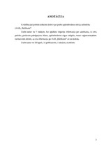 Prakses atskaite 'AAS "Baltikums"', 3.