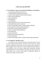 Prakses atskaite 'AAS "Baltikums"', 8.