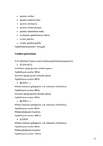 Prakses atskaite 'AAS "Baltikums"', 19.