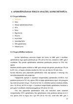 Prakses atskaite 'AAS "Baltikums"', 27.