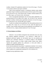 Prakses atskaite 'AAS "Baltikums"', 28.