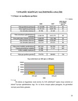 Prakses atskaite 'AAS "Baltikums"', 33.