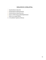 Prakses atskaite 'AAS "Baltikums"', 36.