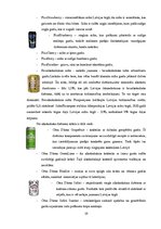 Referāts 'Mārketinga pētījums uzņēmumam "Cēsu alus"', 19.