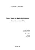 Referāts 'Ozona slānis un tā noārdošās vielas', 1.
