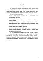 Referāts 'Darbinieku motivēšana', 3.