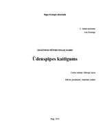 Referāts 'Ūdenspīpes kaitīgums', 1.