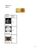 Referāts 'Ūdenspīpes kaitīgums', 26.