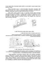 Referāts 'Pārbaudes darbs "Kanalizācija un ūdensapgāde"', 11.