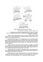 Referāts 'Pārbaudes darbs "Kanalizācija un ūdensapgāde"', 12.