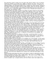 Eseja 'The Respiratory System', 1.