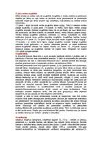 Konspekts 'Ģimenes tiesības', 6.