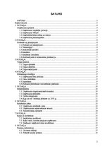 Biznesa plāns 'SIA "Nosaukums"', 2.