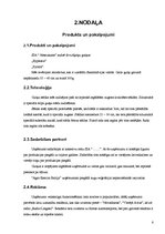 Biznesa plāns 'SIA "Nosaukums"', 6.