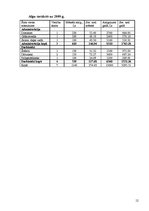 Biznesa plāns 'SIA "Nosaukums"', 12.