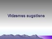 Prezentācija 'Vidzemes augstiene', 1.