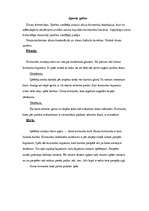 Konspekts 'Sporta spēles', 1.